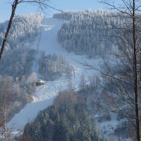 Hotel Lawine Todtnau Eksteriør billede